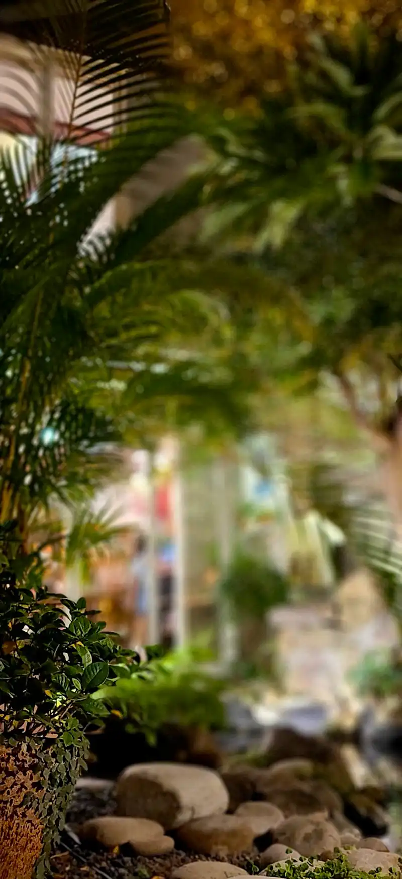 sala-giardino-ristorante-monteverde